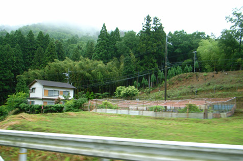 雨上がり