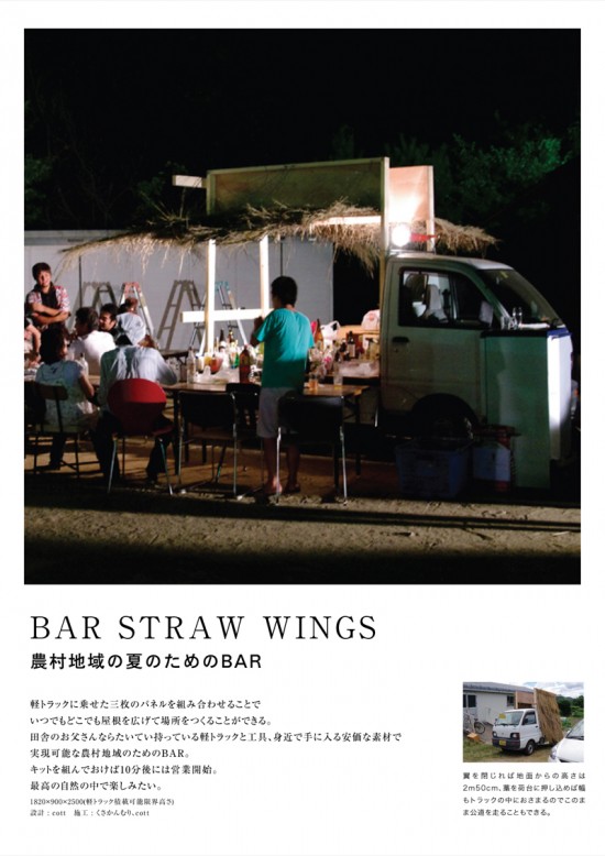 BAR STRAW WINGS