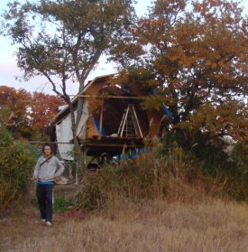 ツリーハウス建築中