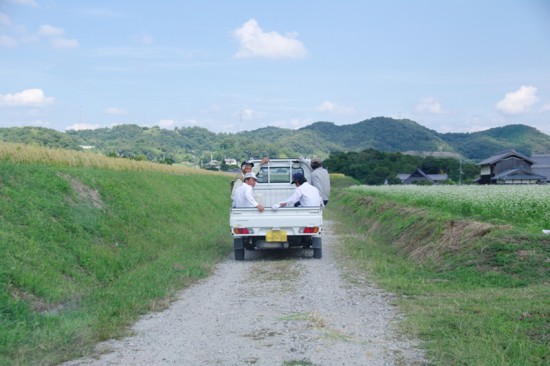 田舎の風景