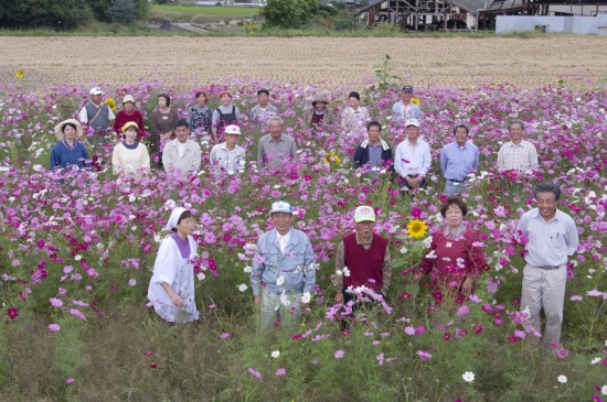 コスモス畑で集合写真