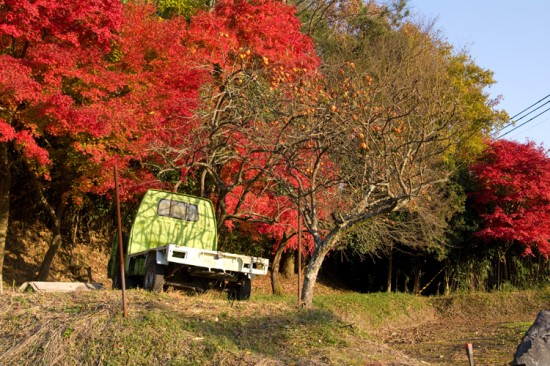 緑の軽トラに映える紅葉