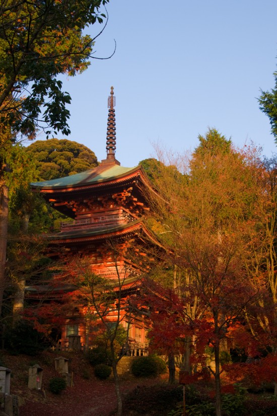 秋の石峯寺