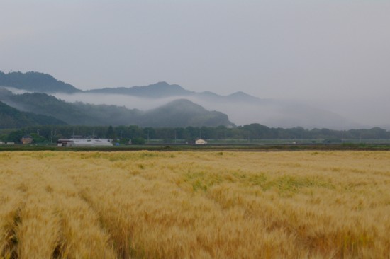 亀岡の朝