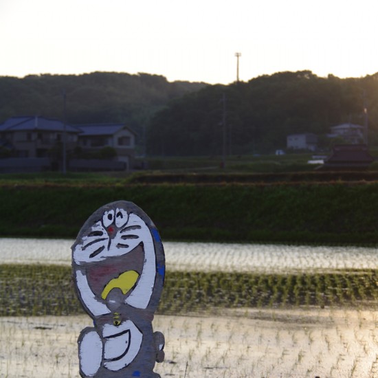 田んぼとドラえもん