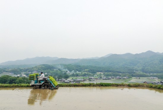 田植えの風景