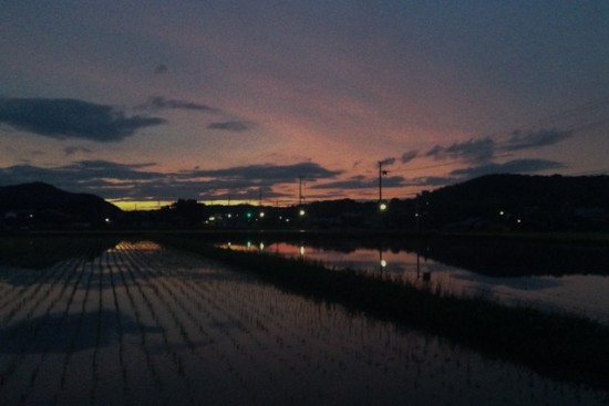 農村の初夏の朝焼け