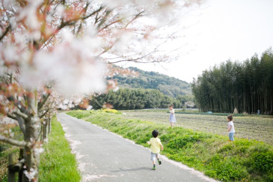 桜並木とこどもたち