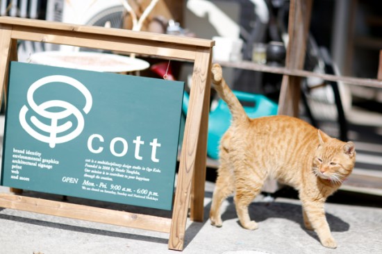 猫とcottの看板