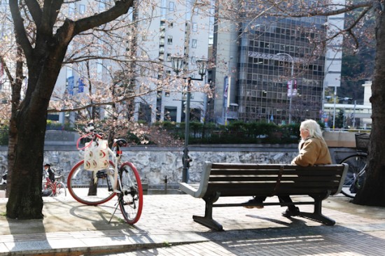 新神戸駅の桜