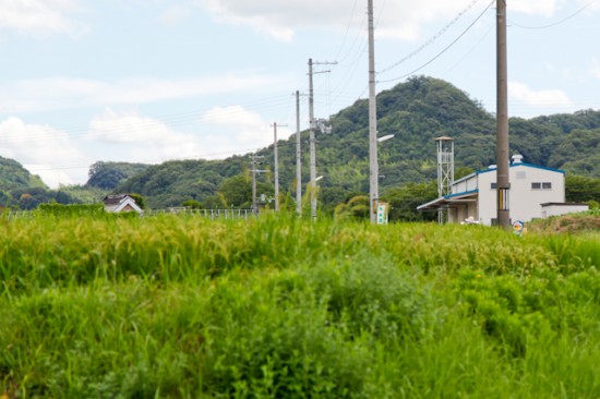 淡河町木津の風景