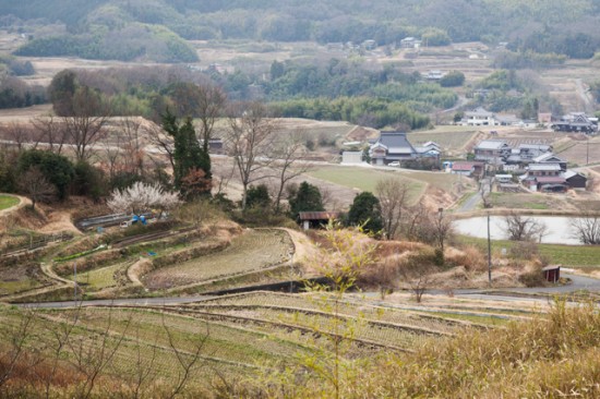 大沢町　棚田のある風景