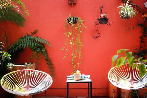 Day25: Guadalajara “Senses of Color”