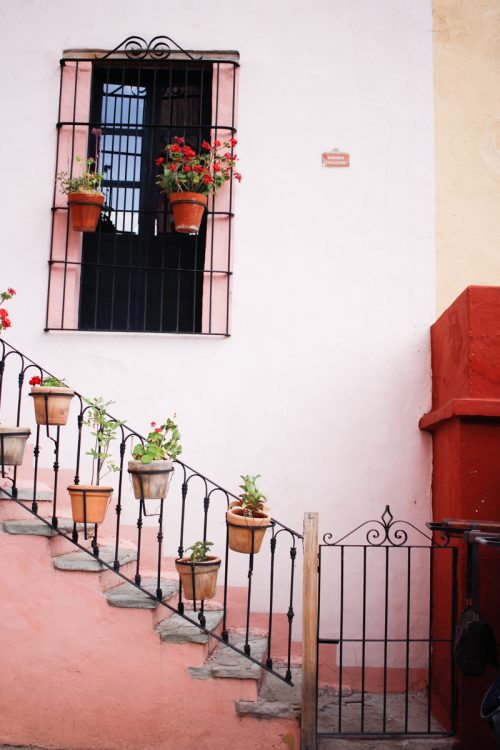 Day44: Guanajuato “Bloom in the Air”