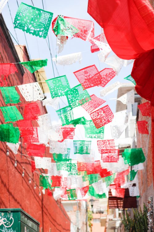Day52: San Miguel de Allende “Belief Made of Vinyl”
