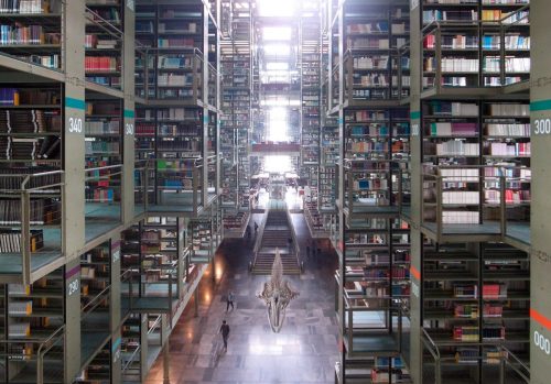 Day69: Mexico City “Floating Shelves”