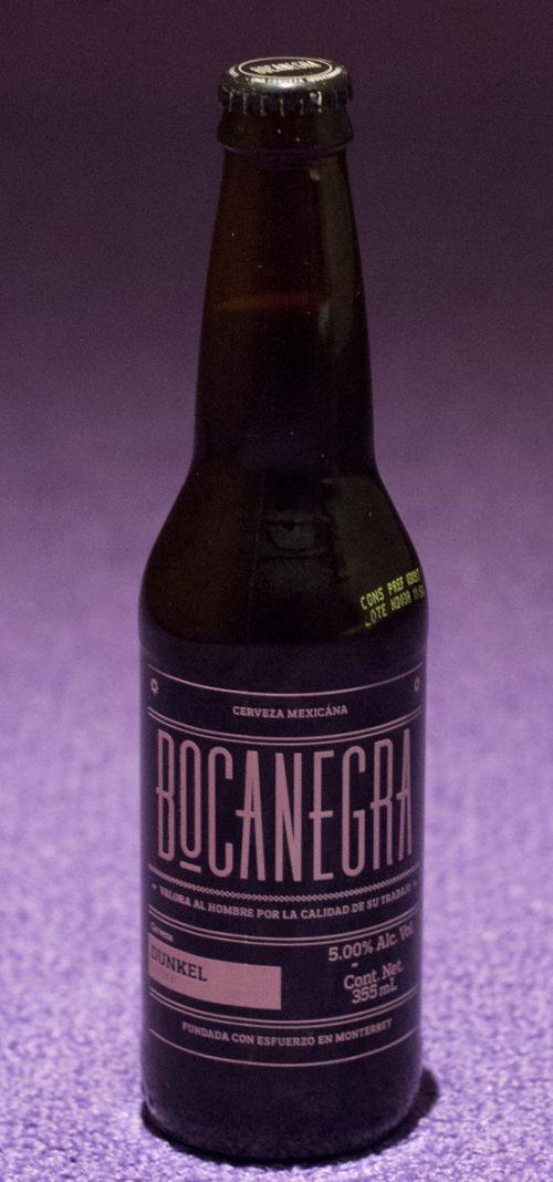 Day45: Guanajuato “Good Beer Good Work”