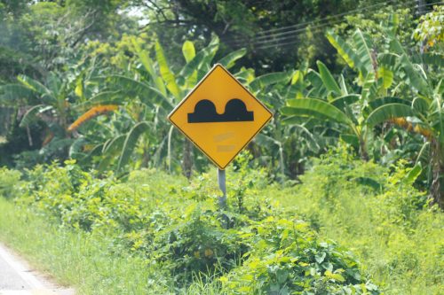 Day111: Palenque “Signs for Bumps”