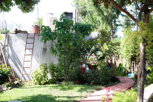 Day125: San Pedro La Laguna “Well Kept”